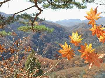 武漢最新的小區(qū)房源圖，武漢最新小區(qū)房源精選圖集